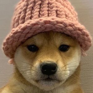 Meet your Posher, Jameson